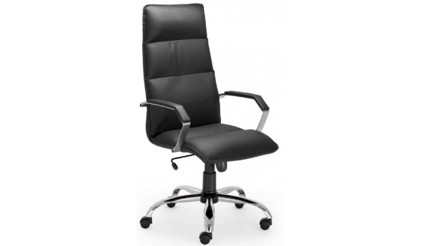 Fauteuil Direction cuir N-Dopra
