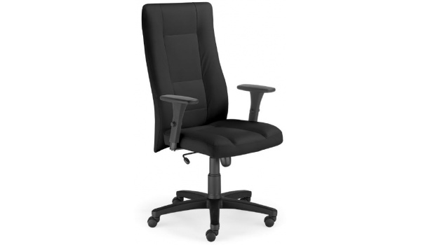 Fauteuil Direction cuir N-Tuvinis-noir