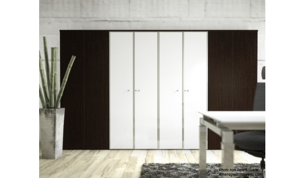 armoires_bois_portes_verre_teint