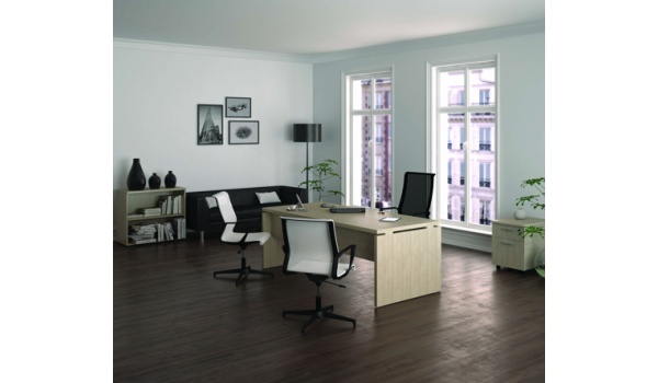 bureau_direction__rectangulaire-onixenjpg