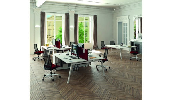 bureau_sympa_vis--vis-tinecci