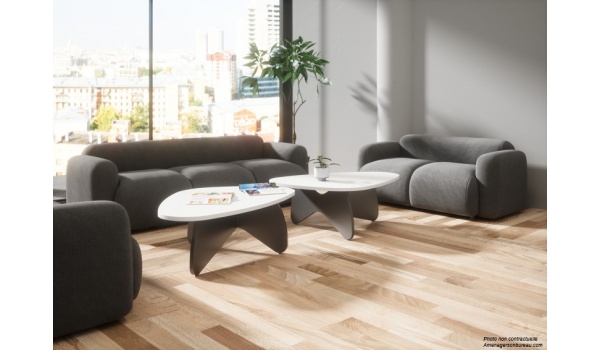 canap_accueil_table_basse-800