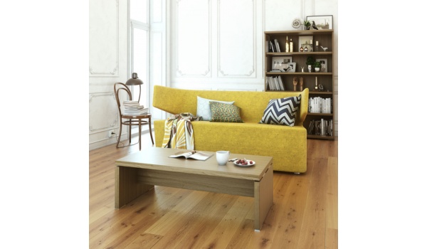 canap_et_table_basse-contract
