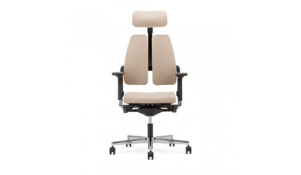 fauteuil_ergonomique_dossier_segment_ttire_rglable_problmes_dorsaux-miluxi_t