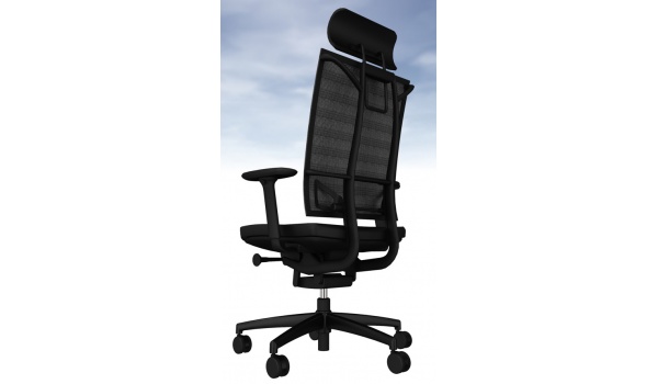 fauteuil_ergonomique_prvention_problmes_dorsaux_arrire-lisa_ergot