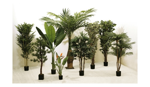 plantes_artificielles