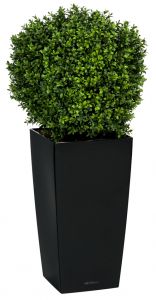 Plante décorative artificielle