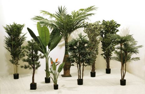 Plantes artificielles de qualité