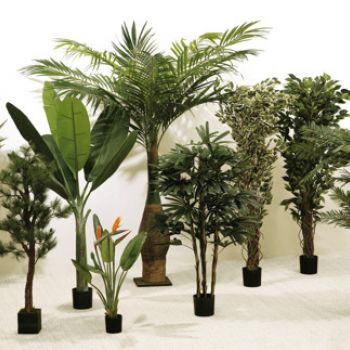 Plantes artificielles